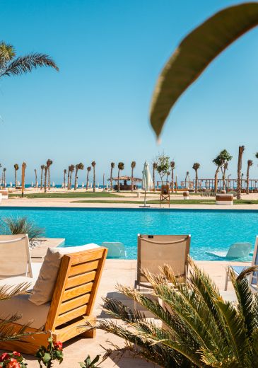 Dhara Hotels Dhara Hotels 365px x 520px